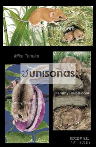 書籍：実用書/飼育本