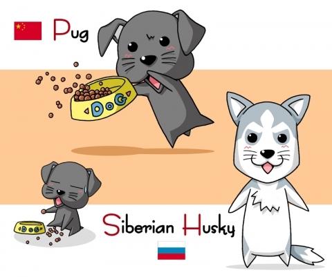 犬達