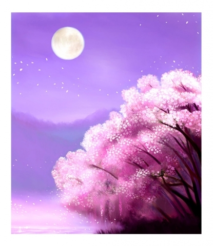 sakura